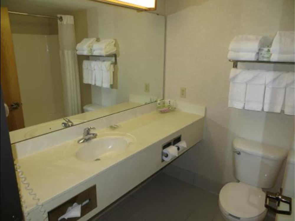 Country Inn & Suites By Radisson, Lansing, Mi Eksteriør bilde